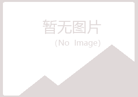 吉隆县曼山能源有限公司